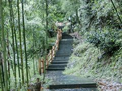 -藏龙百瀑风景区