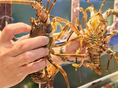 -长平肥姐白粥·海鲜打冷