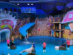 -烟台海昌鲸鲨海洋公园