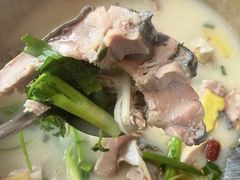 -鲜潭蒸汽石锅鱼(五道口购物中心店)