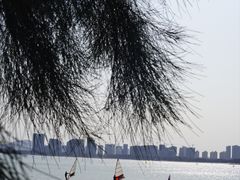 -马銮湾景区