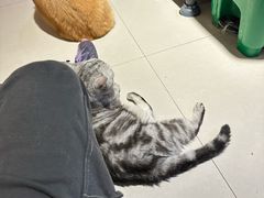 -平行世界·猫咖(首经贸店)