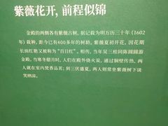 -昆明市金殿名胜区