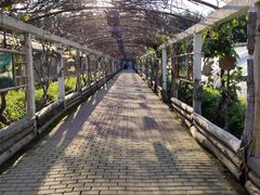 -呀路古热带植物园