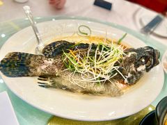 -大天然酒店(军民路店)