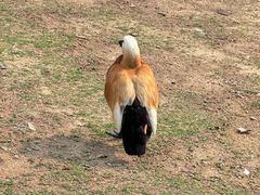 -祥源·阜阳生态乐园