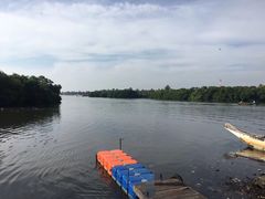 -尼甘布海鲜市场