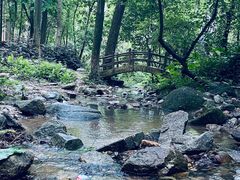 -火炉山森林公园