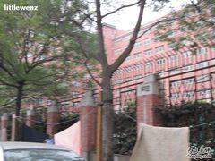 -上海市格致初级中学