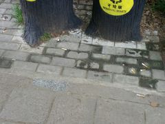-共青国家森林公园-售票处