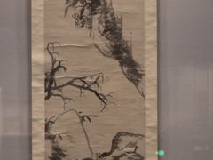 -四川大学博物馆