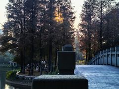 -四海公园(南山区)