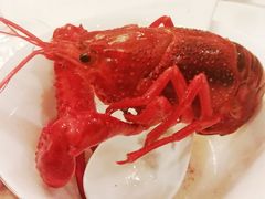 冰镇小龙虾特写-淮扬韵.淮扬味道