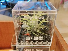 -KingThaia金泰兰(滨江天街店)