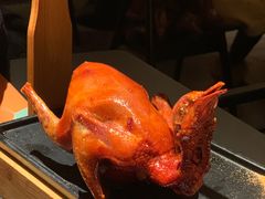 -羽鸽集·乳鸽专门店·地道顺德菜(岭南站店)