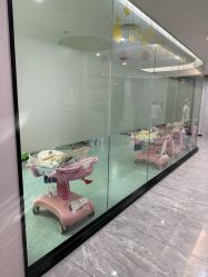 -宝生月子中心·独栋独院式(南山店)