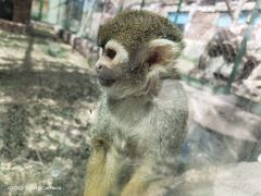 -新疆天山野生动物园