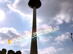 -辽宁电视塔