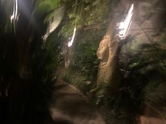 -稷泽·海丽宾雅温泉度假酒店