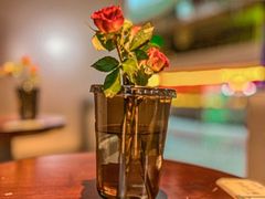 -芸山季·云南山珍菌火锅(宝能环球汇店)