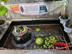-燕喜堂·中华老字号(大明湖店)