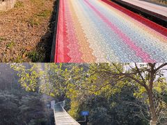 -南丹山森林王国