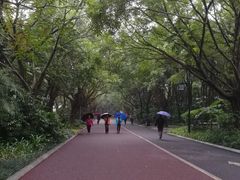 -南宁南湖公园