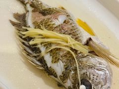 -花城苑广府菜(侨鑫店)