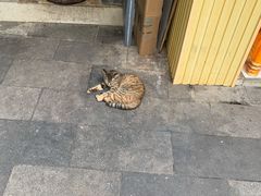 -固海糕团店