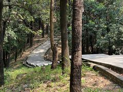 -火炉山森林公园