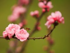 -共青国家森林公园-售票处