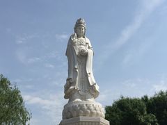 -曹州牡丹园