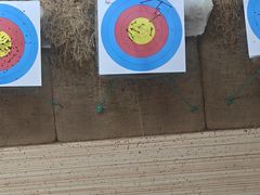 -道顺射箭·团建·骑射(张杨路店)