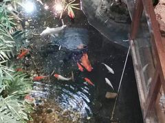 -聚缘堂·海鲜私房菜(松岭路店)