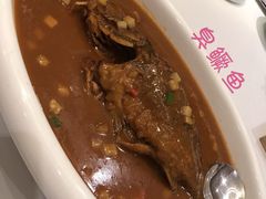 -樱苑(四川北路店)