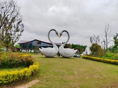 -东平国家森林公园