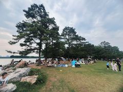 -东湖落雁景区