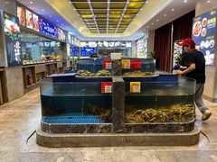 -骏莱海鲜鱼港(五角场店)