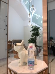-HAIR POP