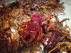 -万龙洲海鲜(大兴绿地缤纷城店)