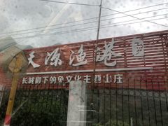 -天源渔港农庄