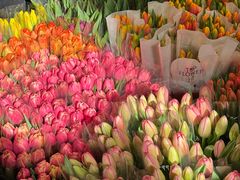 -循礼门鲜花花市(武汉循礼门店)