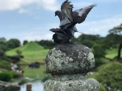 -水前寺成趣园