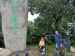 -溱湖国家湿地公园