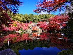 -醍醐寺