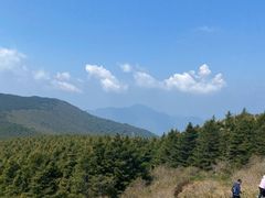 -白草畔自然风景区