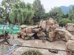 -西安秦岭野生动物园