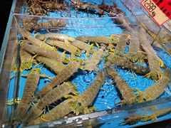 -徐记海鲜(大雁塔|金都店)