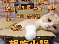 -小胖墩炝锅鱼(天钥桥路店)