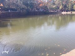 -韶山毛泽东同志故居